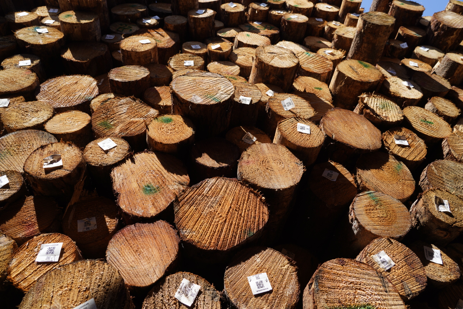 Material Ramah Lingkungan untuk Arsitektur Masa Depan